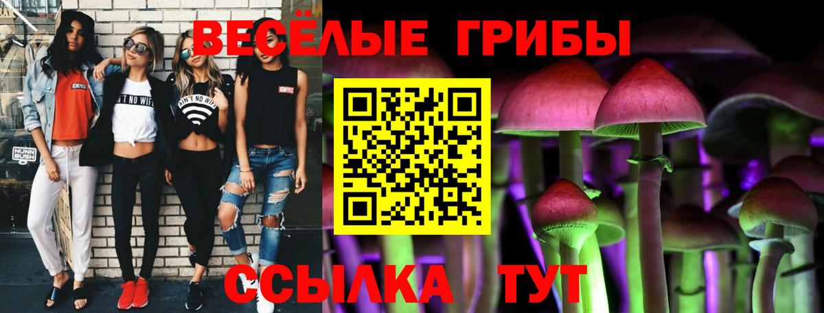 Саратов  Галлюциногенные грибы мицелий  купить наркотики сайты  Псилоцибиновые грибы Magic Shrooms  Вход с VPN 